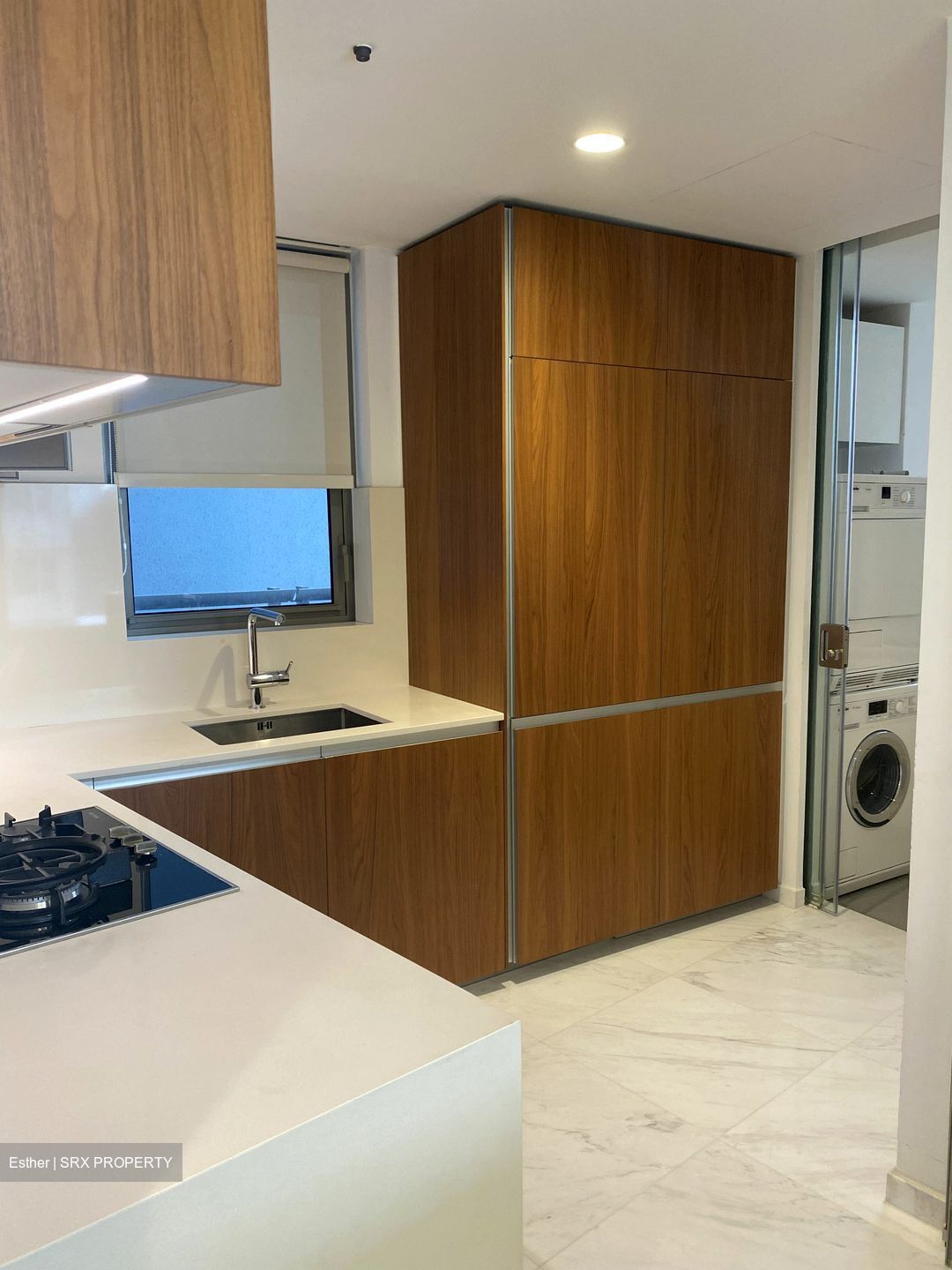 Cairnhill Nine (D9), Apartment #592027311